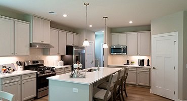 Luxury Finish Kitchen Renovation