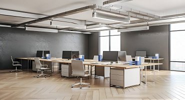 Modern Oasis Office Renovation