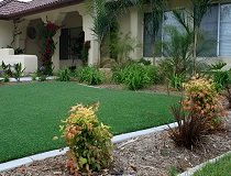 Landscape Turf Grass