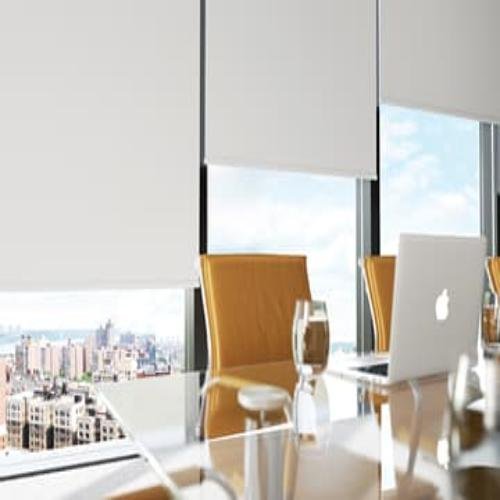 Office Window Blinds