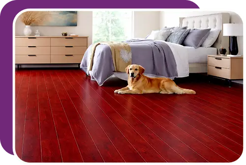 Pet-Friendly Flooring Best Flooring Options for Homes with Pets