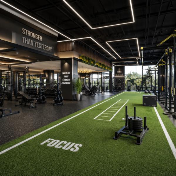 Artificial Grass for Gyms Home Gym Turf Fitness Turf